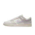 Nike Dunk Low Iridescent Swoosh