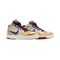 Nike Kobe 4 Protro Gold Medal